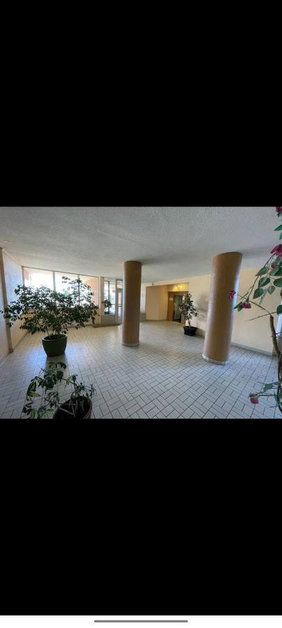 Studio Climatise 50 M.Du Port Saint-Cyprien  Exterior foto